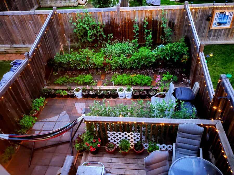 Garden-Backyard-Ideas-on-a-Budget-taliaroca