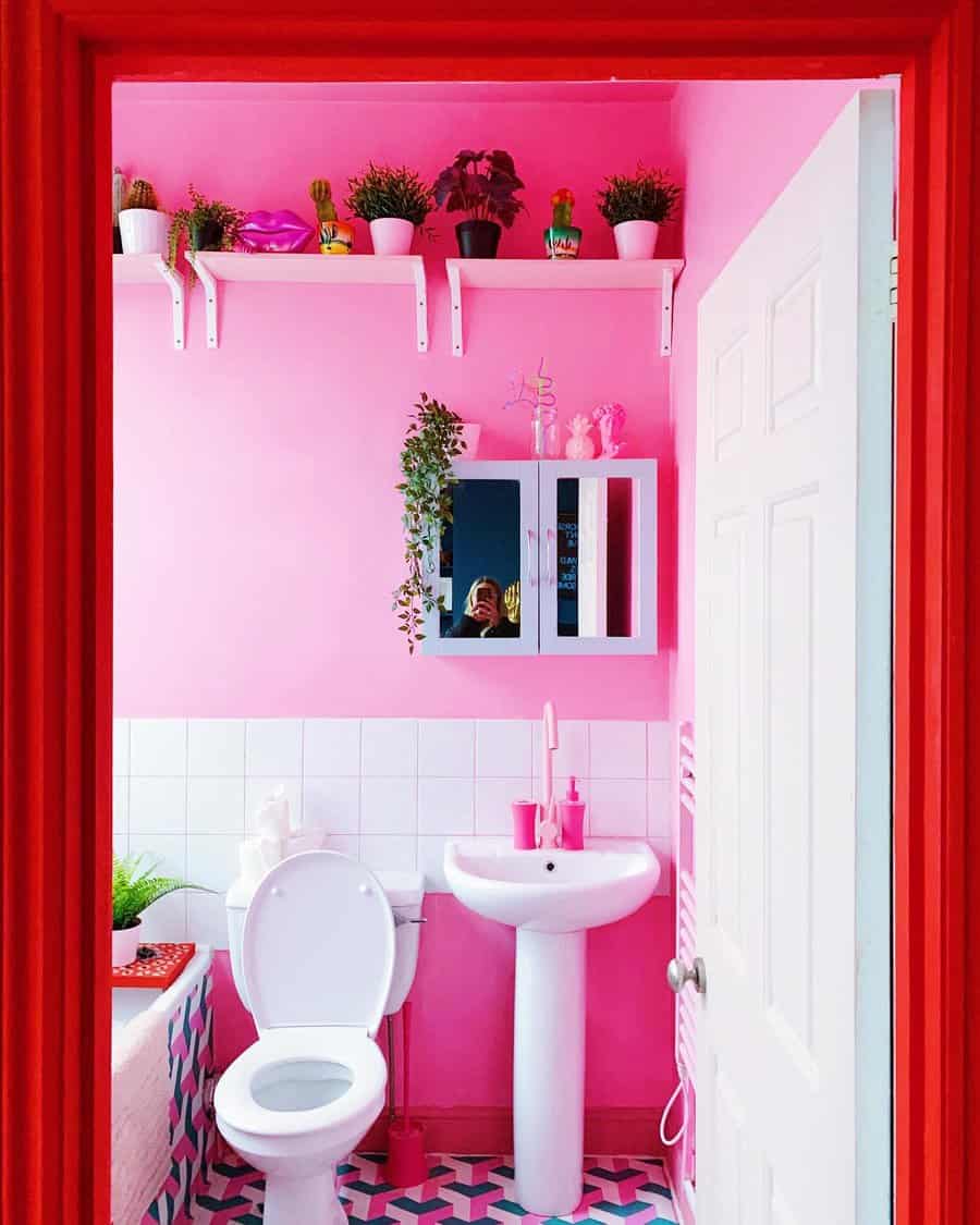 Pink-Wall-Paint-Ideas-interior_vampire