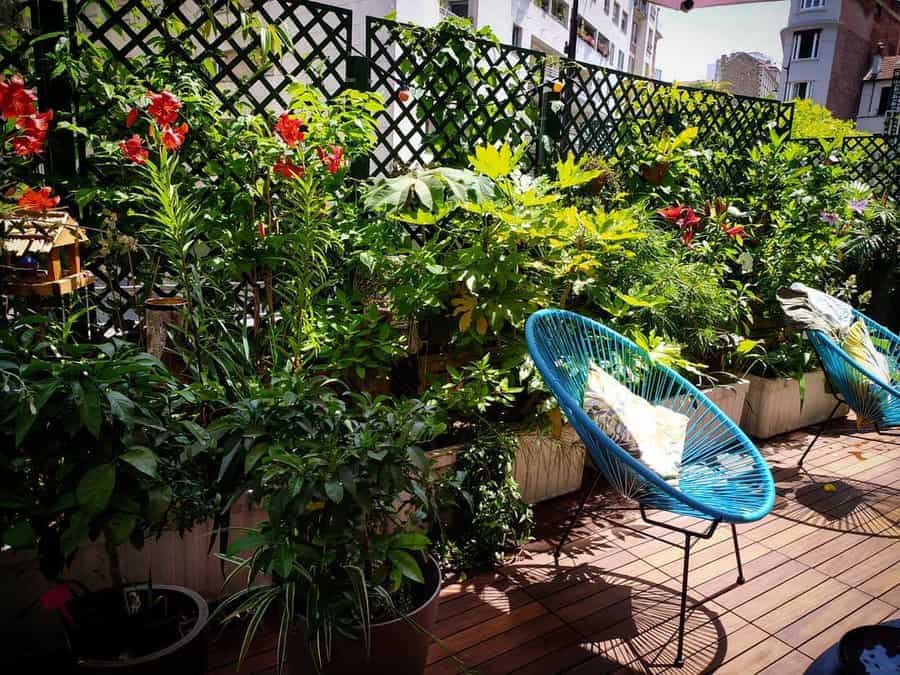 Tropical-Apartment-Balcony-Ideas-tropical_terrace_paris