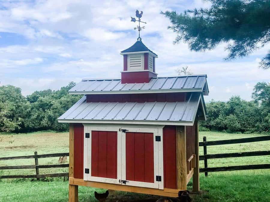 Roof Chicken Coop Ideas Carterhallfarm
