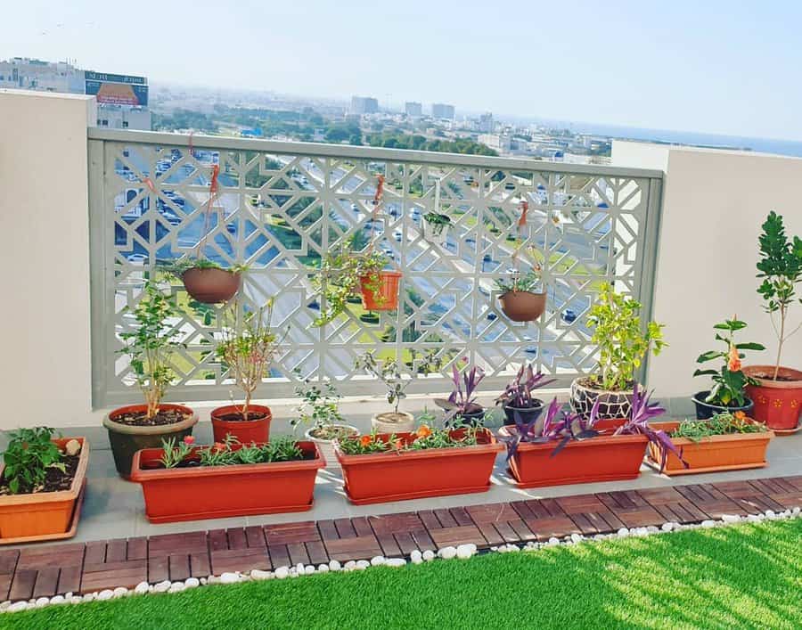 Balcony Container Garden Ideas Littlethings Plantsdeco