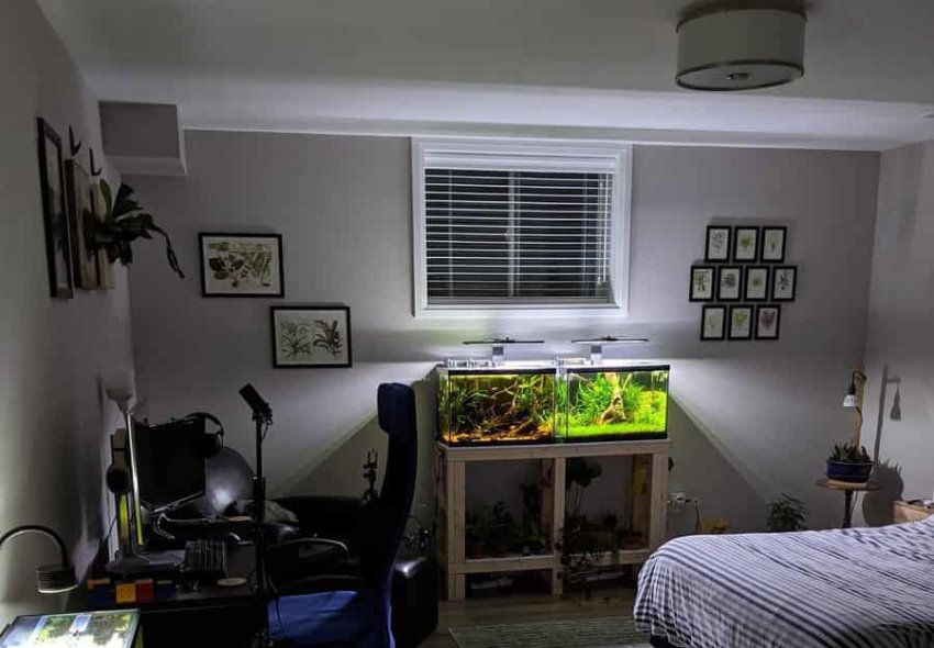 Diy Bedroom Office Ideas Dcr Aquarium