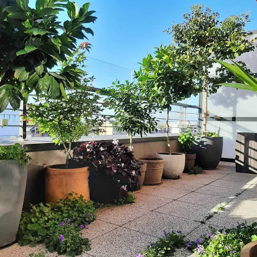 Garden Apartment Balcony Ideas Pestibalcon