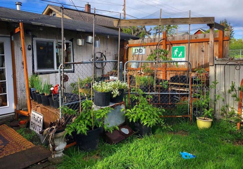 Garden Small House Ideas Resistpnw