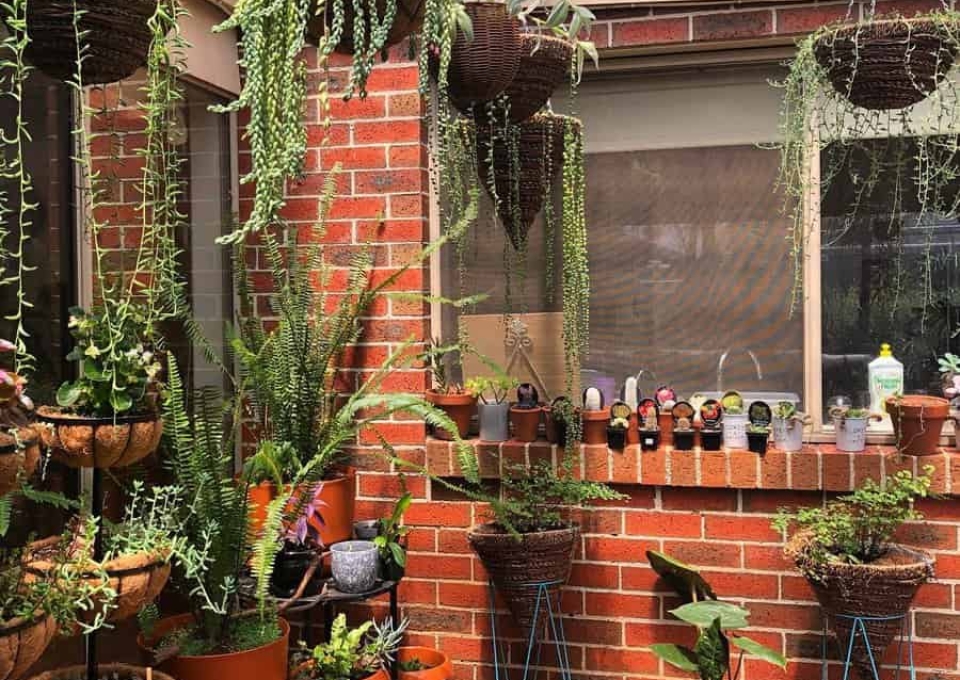 Hanging Container Garden Ideas Abrils Plantsandgarden