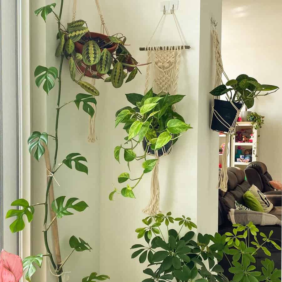 Hanging Container Garden Ideas Plantmomma Gyn