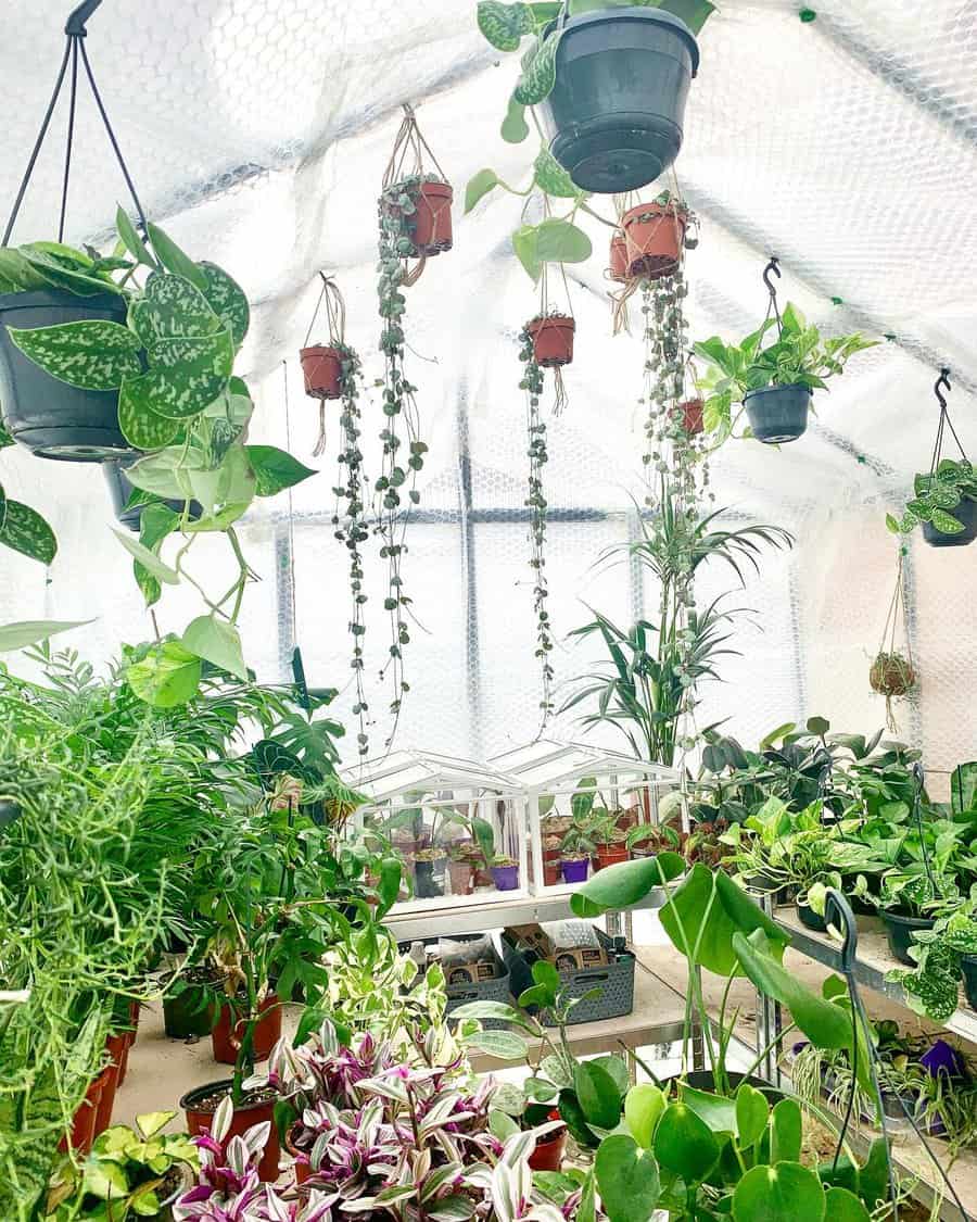 Hanging Container Garden Ideas Sprowtplantco
