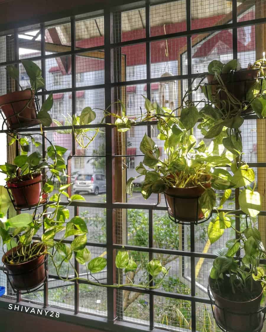 Indoor Container Garden Ideas Shivany