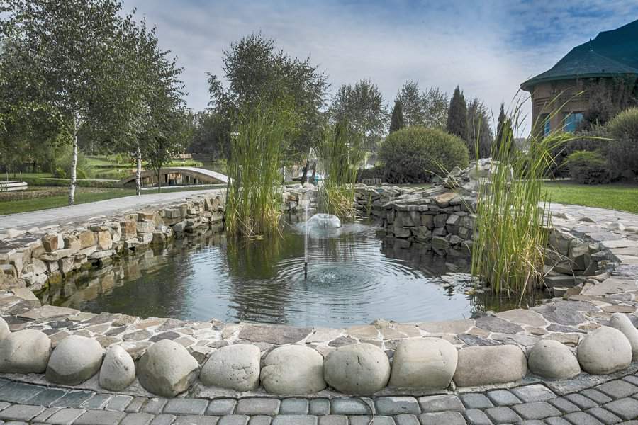 Landscape Backyard Pond Ideas