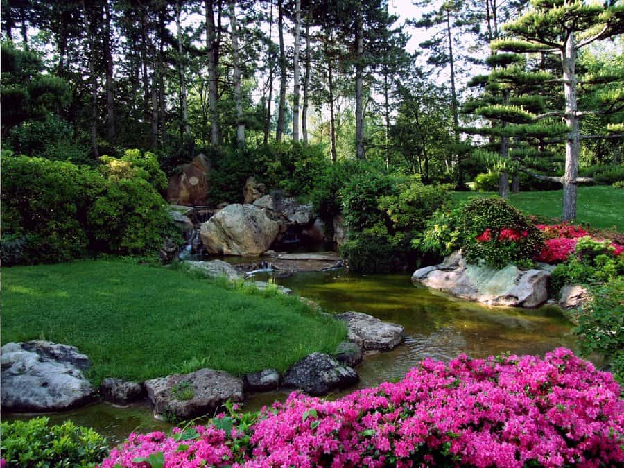 Luxury Garden Backyard Pond Ideas