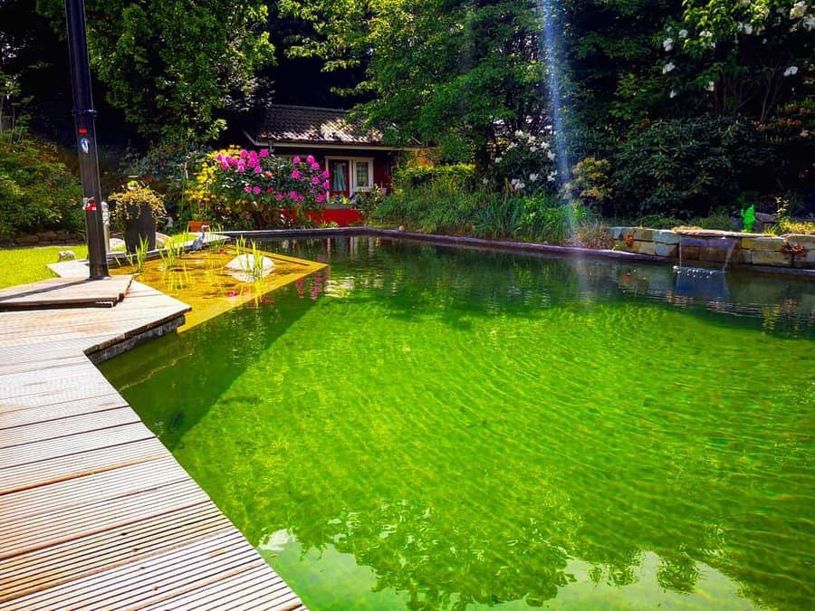 Luxury Garden Backyard Pond Ideas Davitarican