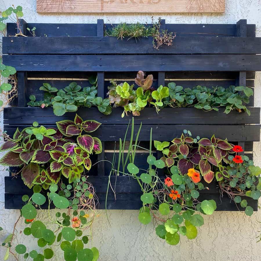 Pallet Container Garden Ideas Succulents And Sunflowers