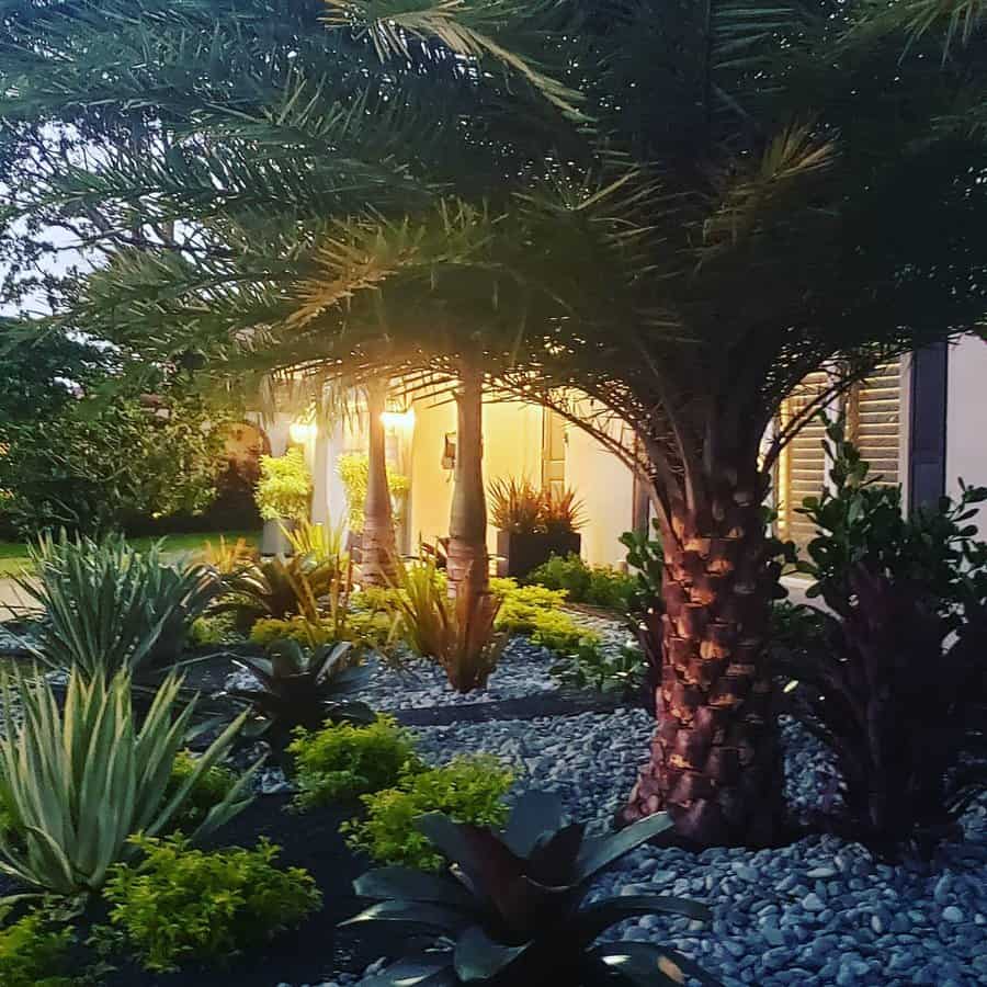 Palm-Florida-Landscape-Ideas-lavenderbluehomeandgarden
