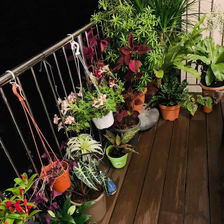 Plant Balcony Garden Ideas Mangosiah