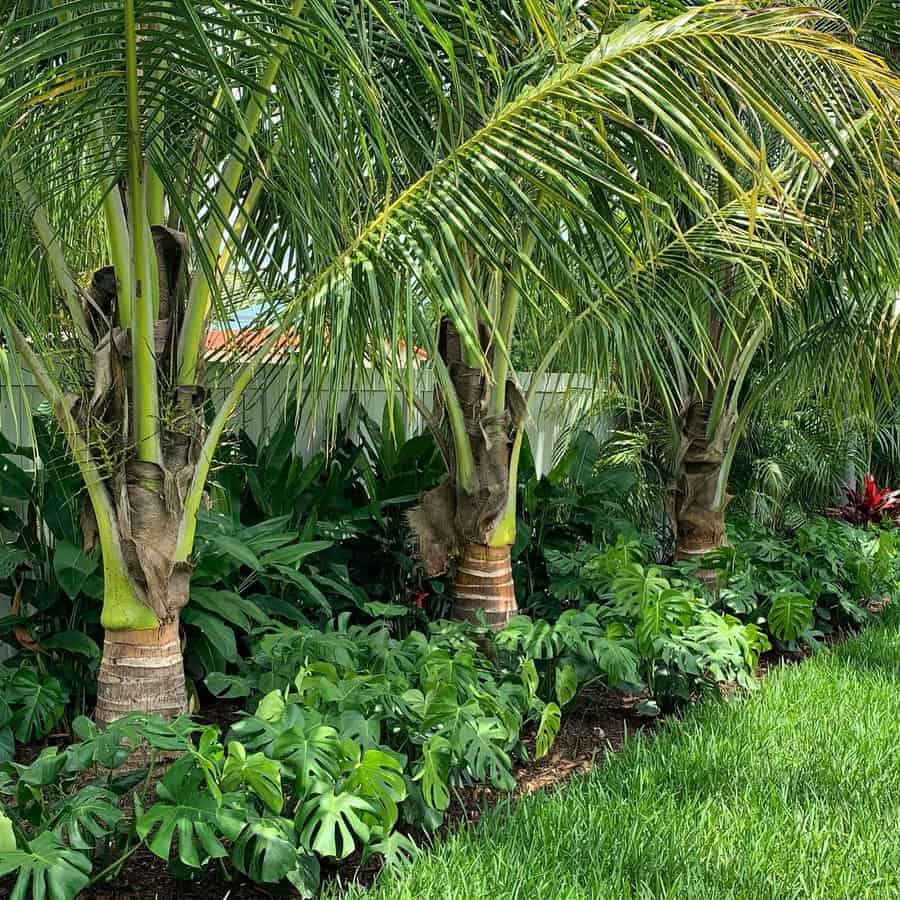 Plants-Shade-Florida-Landscape-Ideas-fpdesignla