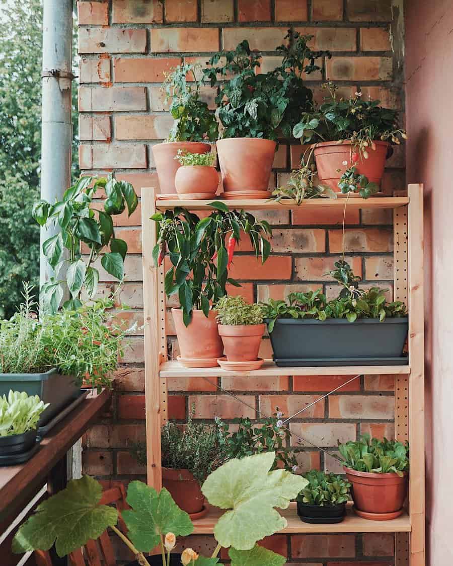 Pot Balcony Garden Ideas Laine Rudolfa