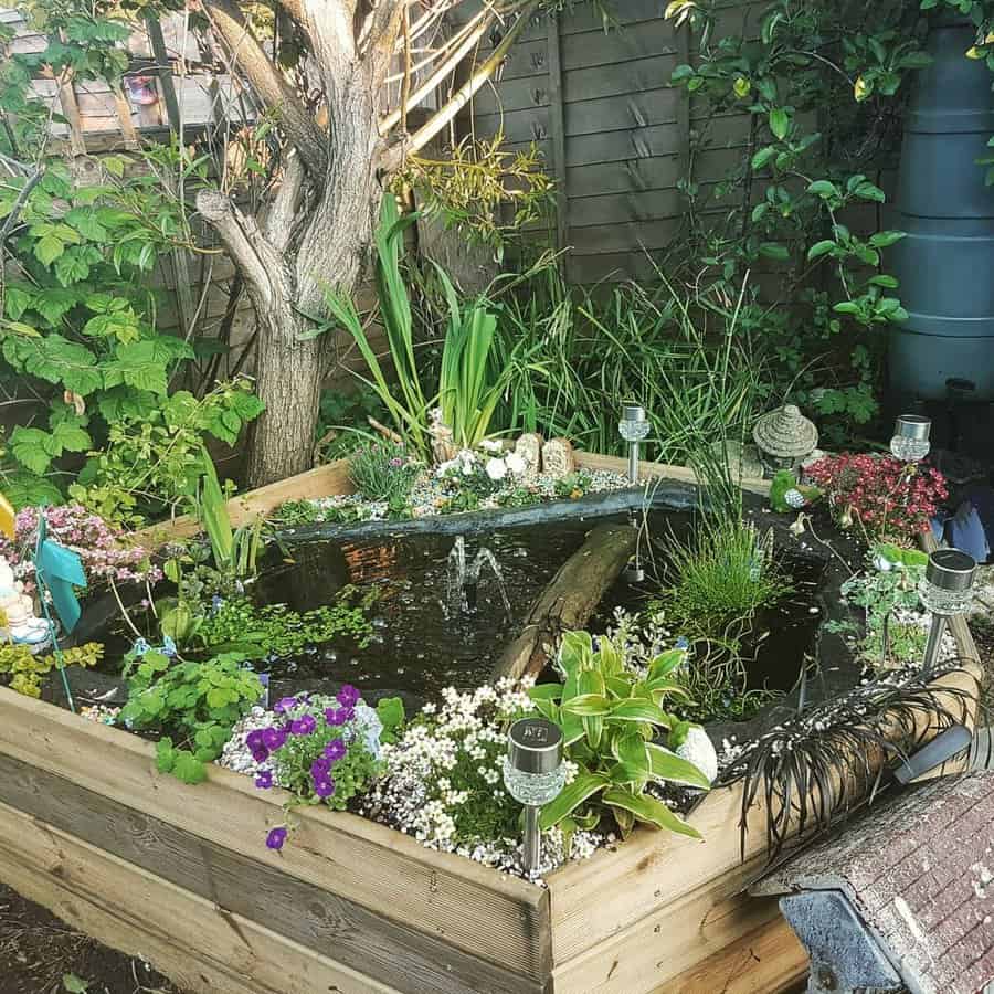 Raised Backyard Pond Ideas Pastiegardener