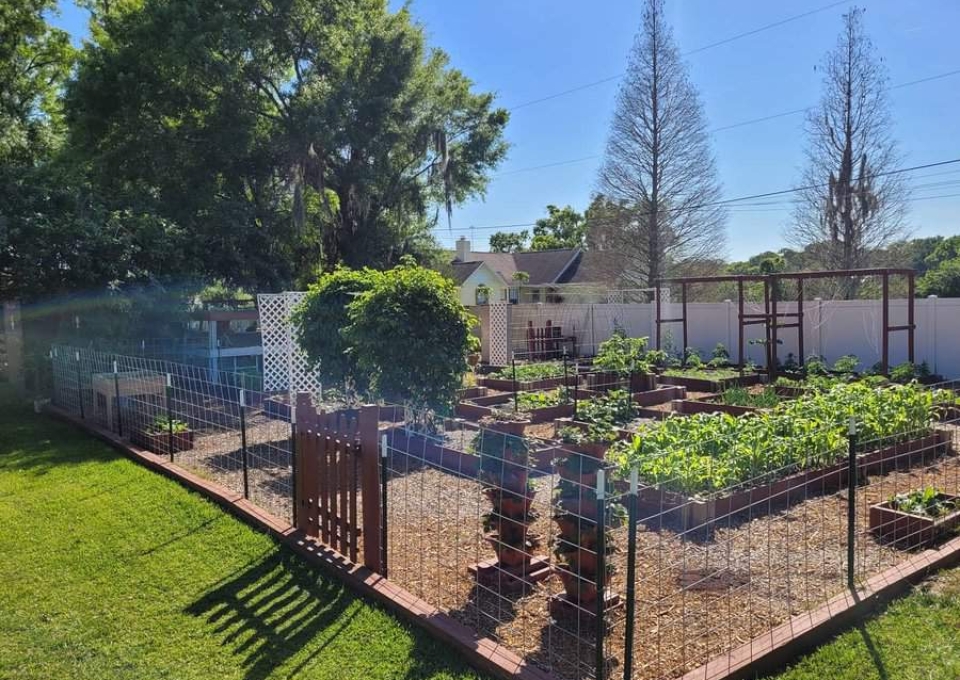 Raised Bed Garden Decor Ideas C Organicfarms