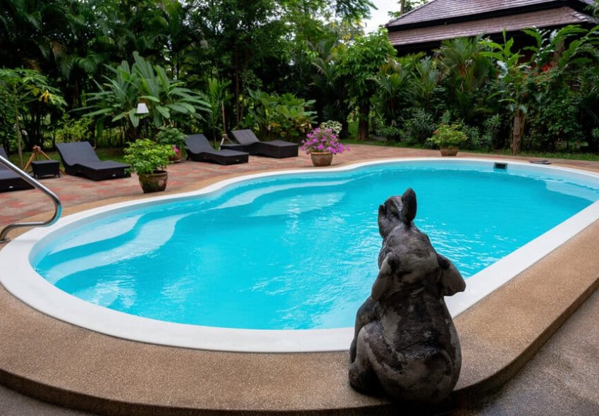 Tropical Backyard Pool Ideas