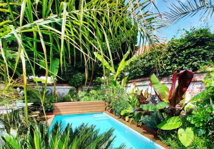 Tropical Backyard Pool Ideas Urbanjunglegarden