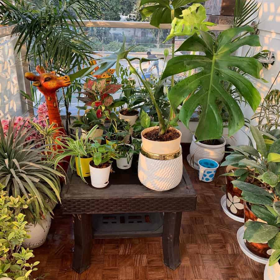 Tropical Balcony Garden Ideas Innovativecraftideas