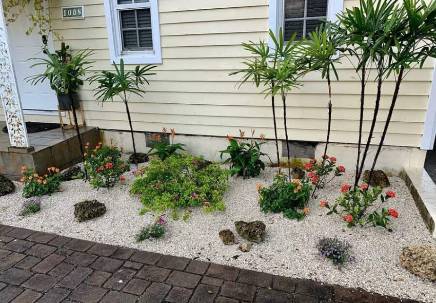 Tropical Front Garden Ideas Sofloexteriors