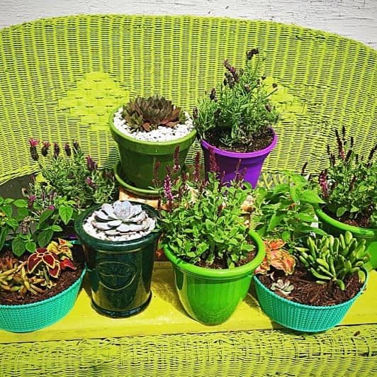 Upcycled Garden Decor Ideas Upcycledbykw