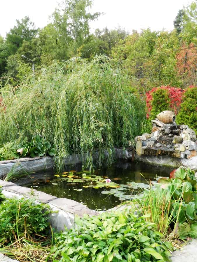 Waterfall Backyard Pond Ideas