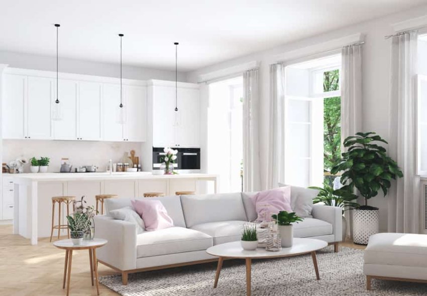 Contemporary Apartment Living Room Ideas