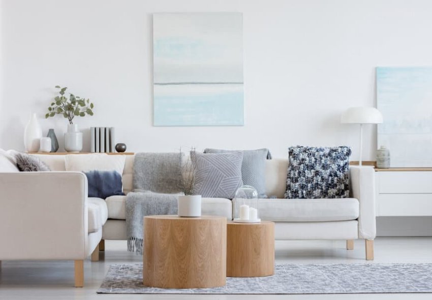 Minimalist Apartment Living Room Ideas