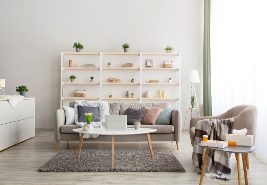 Scandinavian Apartment Living Room Ideas