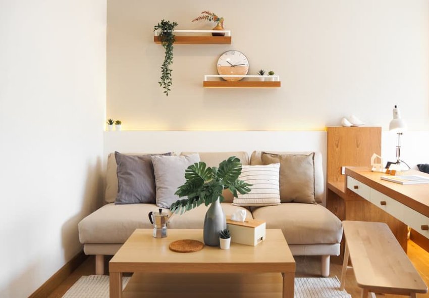 Small Apartment Living Room Ideas