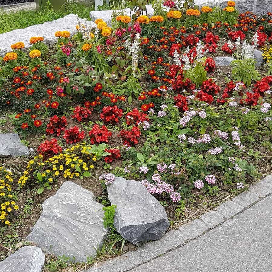 Landscaping Flower Bed Ideas Vero Fru