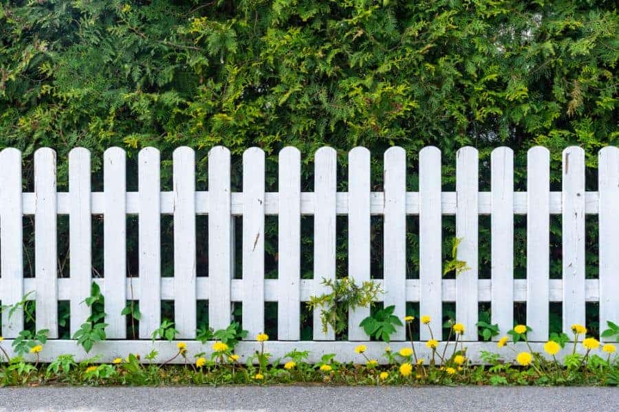 Picket Wood Fence Ideas