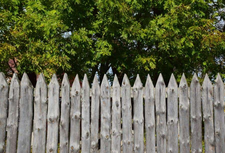 Rustic Wood Fence Ideas
