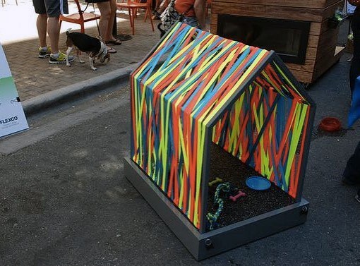 Colorful Simple Cool Dog Houses
