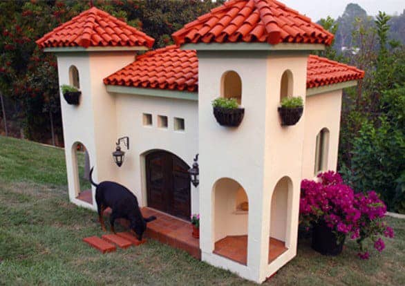 Cool Dog House Mansions
