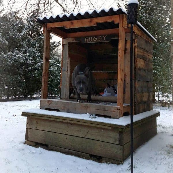 Cool Dog Houses For Large Breeds