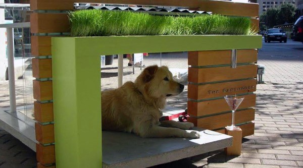 Cool Dog Houses To Build