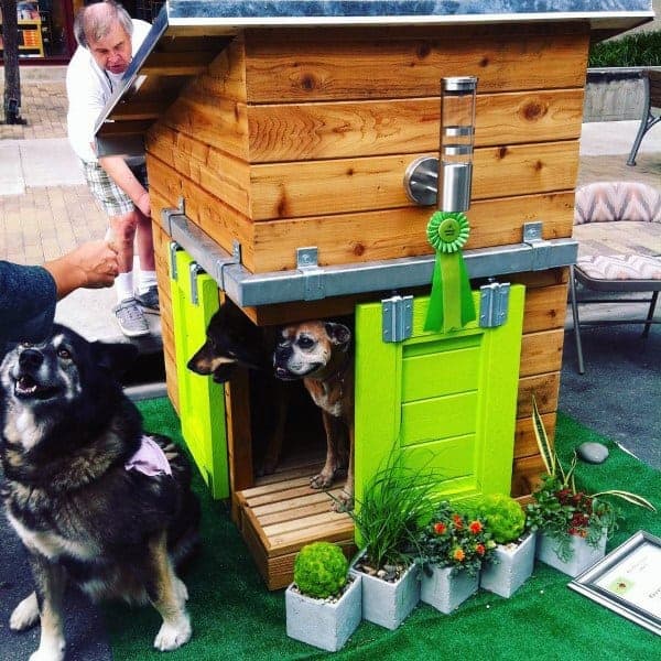 Cool Dog Houses With Cedar Wood Planks And Lime Green Sliding Doors
