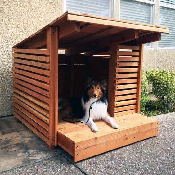 Cool Homemade Dog Houses