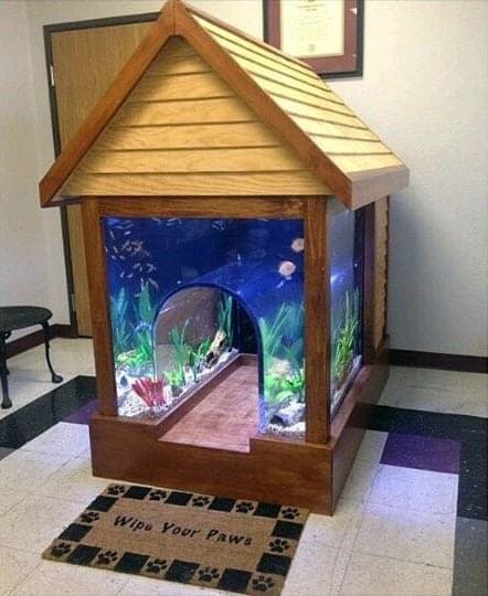 Cool Outdoor Dog House