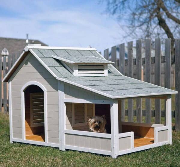Painted Wood Cool Dog Houses