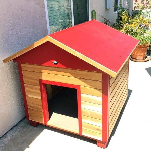 Really Cool Dog Houses