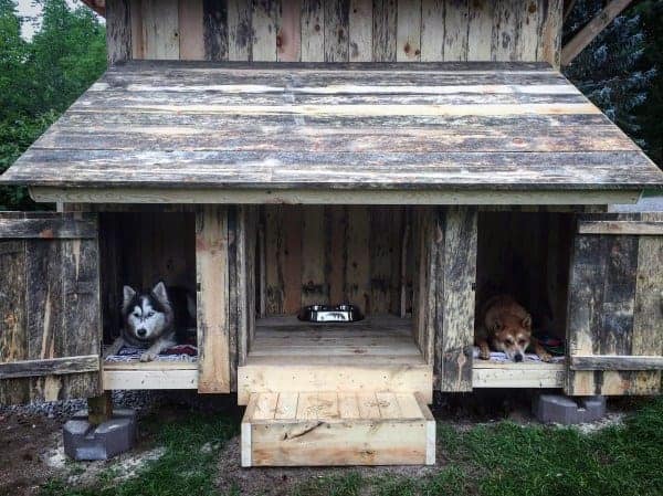 Rustic Double Cool Dog Houses