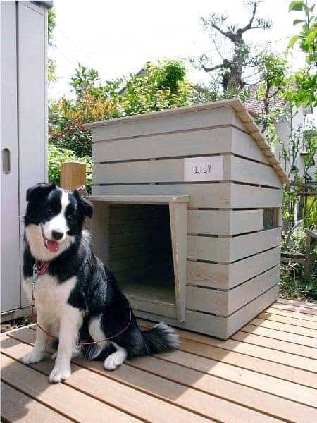 Simple Wood Slat Cool Dog Houses