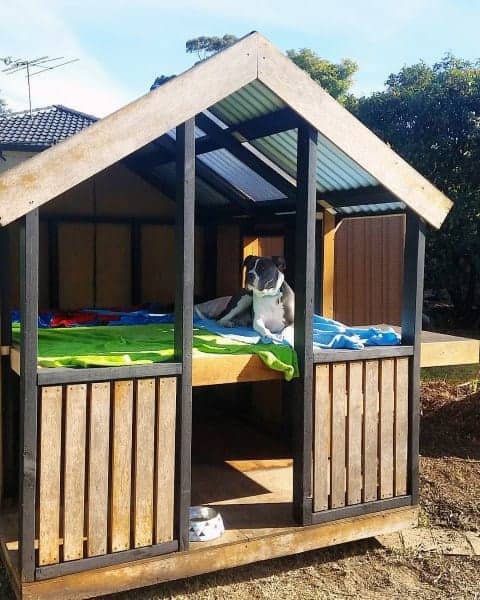 Two Level Cool Dog Houses