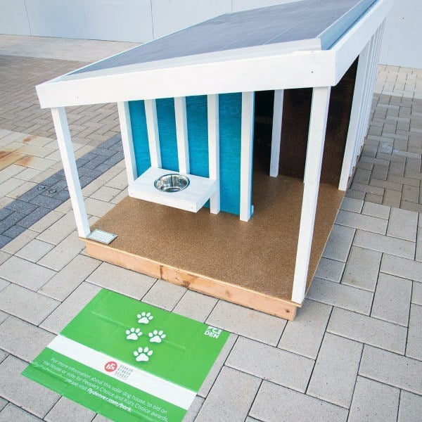 Unique Simple Cool Dog Houses
