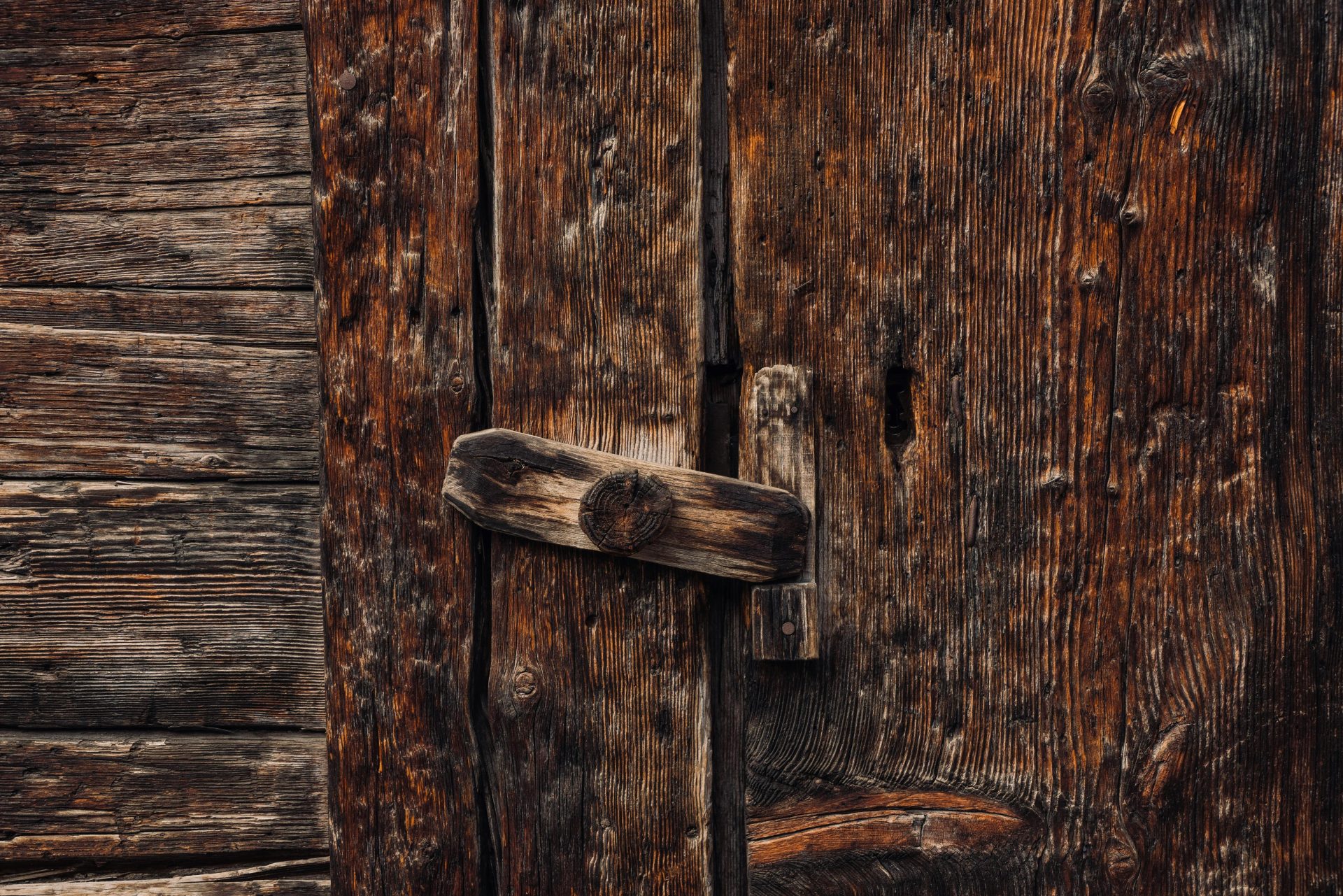 Choosing the Right Material for Your Shed Door
