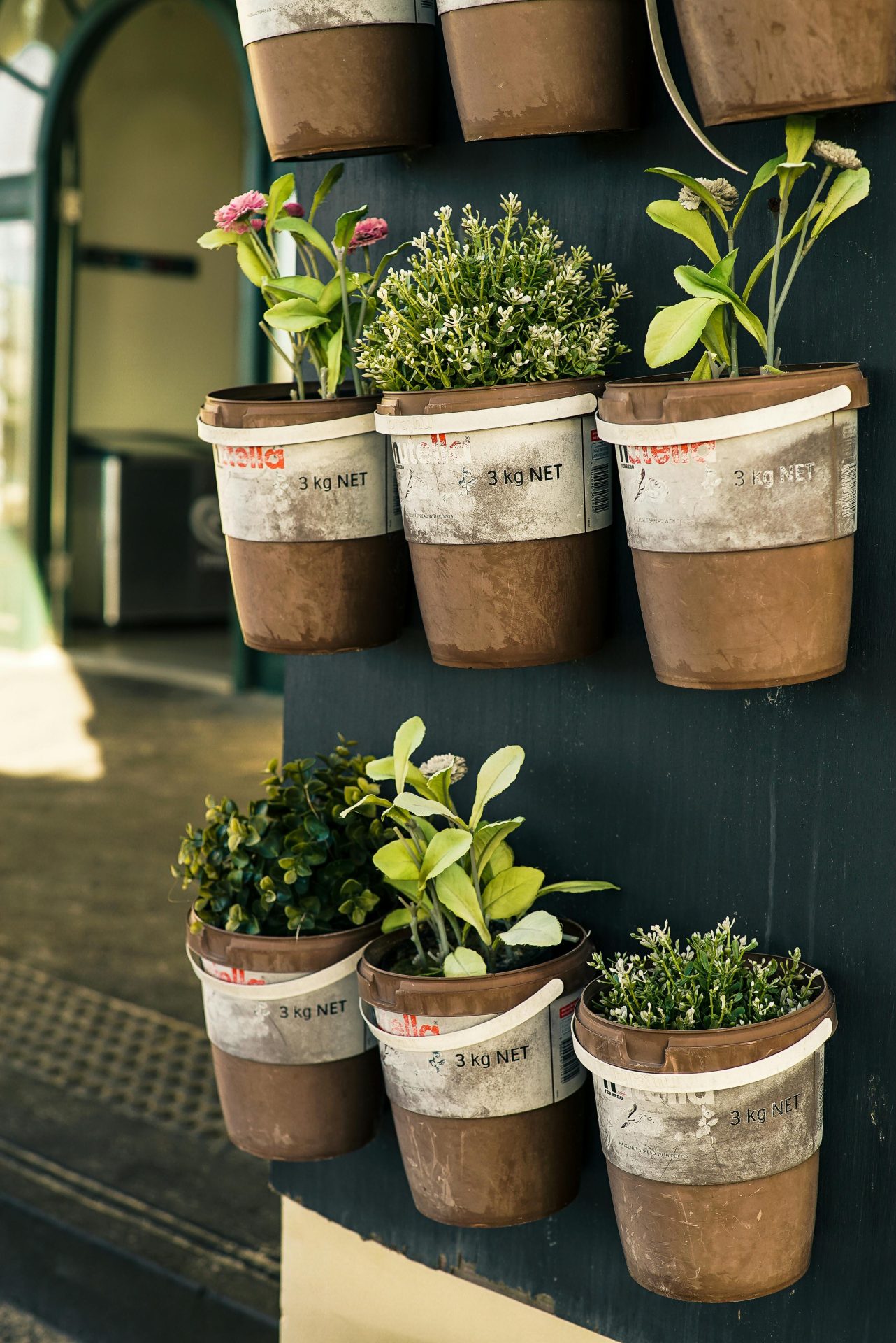 Common Challenges in Container Gardening